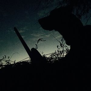 Meet your Posher, Jared